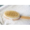 Body Brush Removable Long Handle