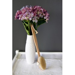 Body Brush Removable Long Handle