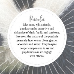 Animal Wisdom Affirmation Cards