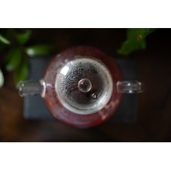 Bestow Glass Teapot